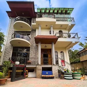 Mad Vervet Backpackers Albergue